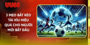 3 Mẹo Bắt Kèo Tài Xỉu Hiệu Quả Cho Người Mới Bắt Đầu