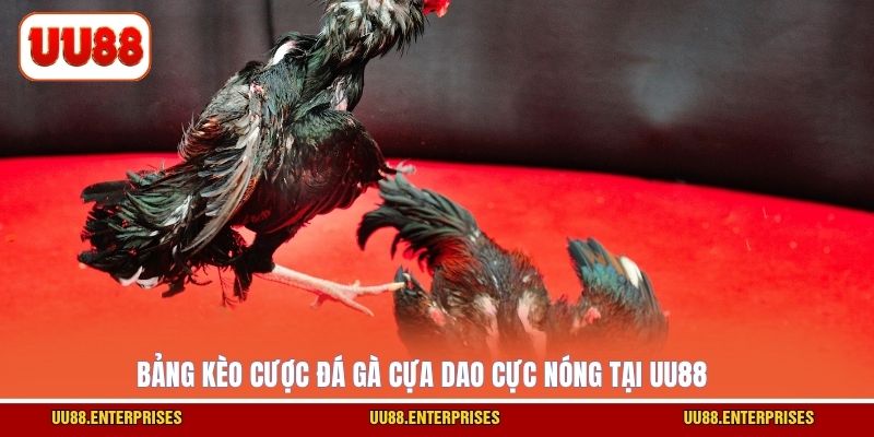 Bảng kèo cược đá gà cựa dao cực nóng tại UU88