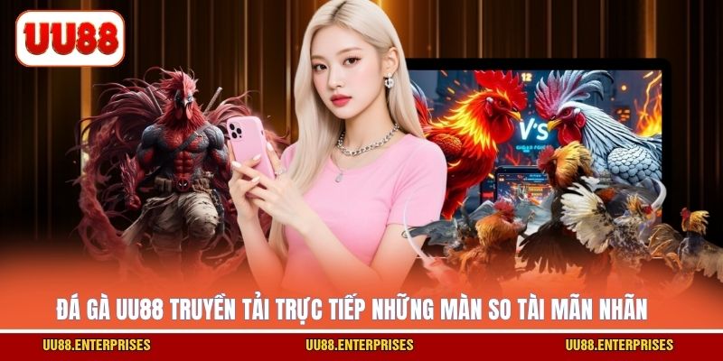 Đá gà UU88 truyền tải trực tiếp những màn so tài mãn nhãn 