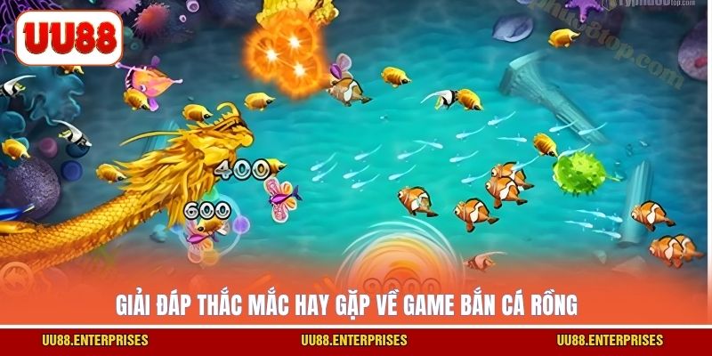 Giải đáp thắc mắc hay gặp về game Bắn Cá Rồng
