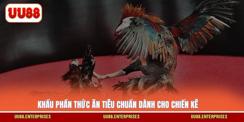 Khẩu phần thức ăn tiêu chuẩn dành cho chiến kê